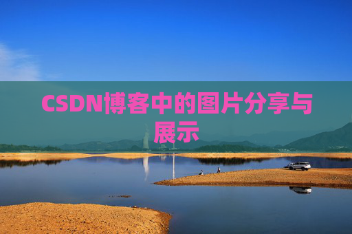 CSDN博客中的图片分享与展示